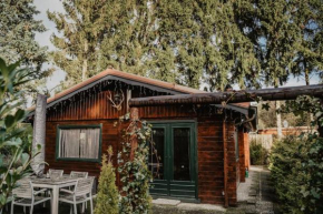 NIEUW Cozy and Romantic forest house (5)